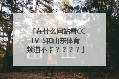 在什么网站看CCTV-5和山东体育频道不卡？？？？