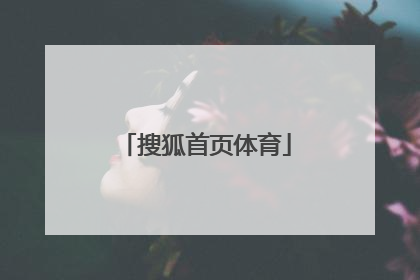 「搜狐首页体育」搜狐首页官网