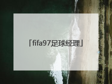 「fifa97足球经理」fifa97足球经理妖人